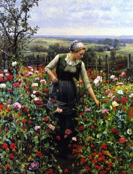 Oil painting Daniel-Ridgway-Knight-A-July-Morning lady in her garden landscape