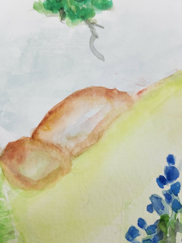 Matted Watercolor Signed Unknown Artist Nature Forest Original Artwork VGC gallery