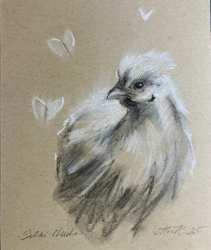 ORIGINAL Silky Chicken Painting butterflies charcoal pastel art Farm Artwork USA gallery