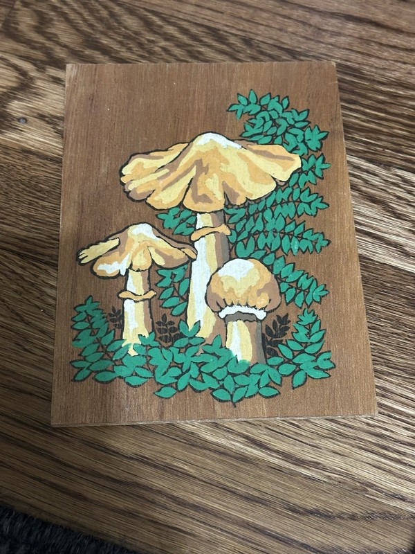 Vintage Mushroom Painting On Wood Board MCM Wall Art