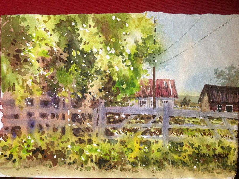 Original Watercolor FARM OFF BYRON HIGHWAY CA Plein Air Pamela Wilhelm