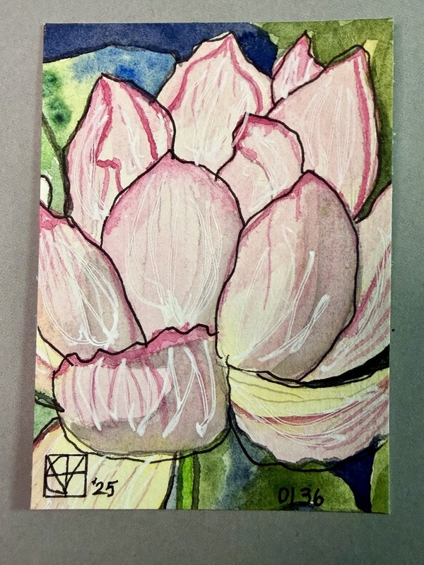 ACEO by M. Hackney Botanical Watercolor & Ink, Signed, 2.5x3.5" Original gallery