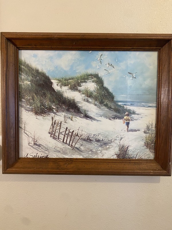 A. Sehring Vintage Wall Picture Print A Day At The Beach Framed Seagulls Boy