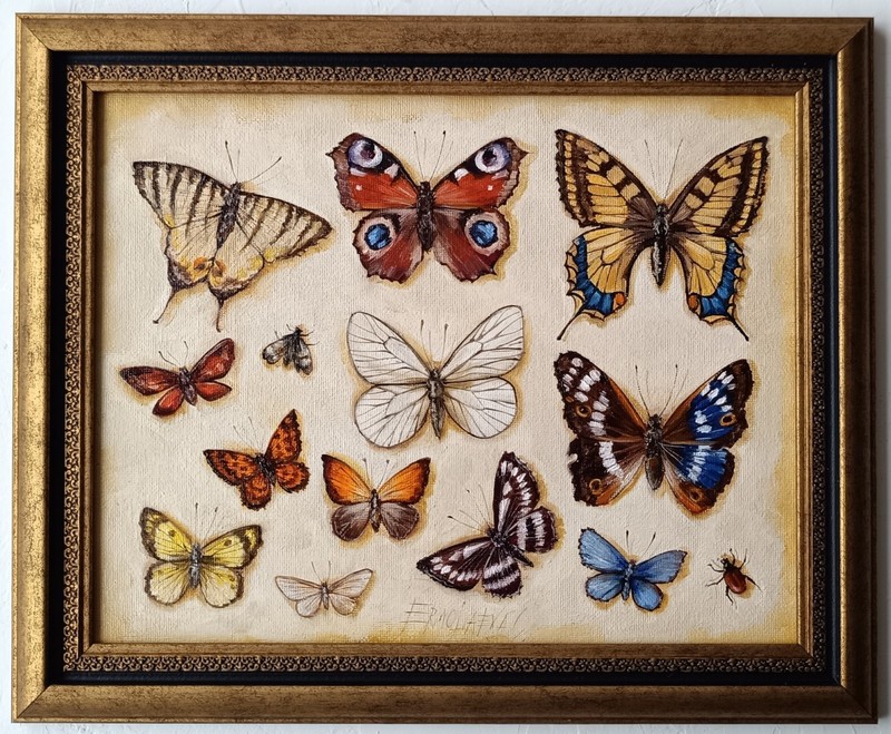 Butterflies Oil Painting – Original Handmade Entomology Wall Artwork 8×10 in