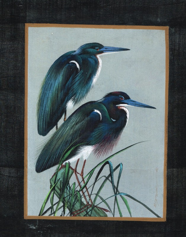 Beautiful Birds Painting Handmade Fine Art On Silk Cloth Nature Art 7×9 Inches