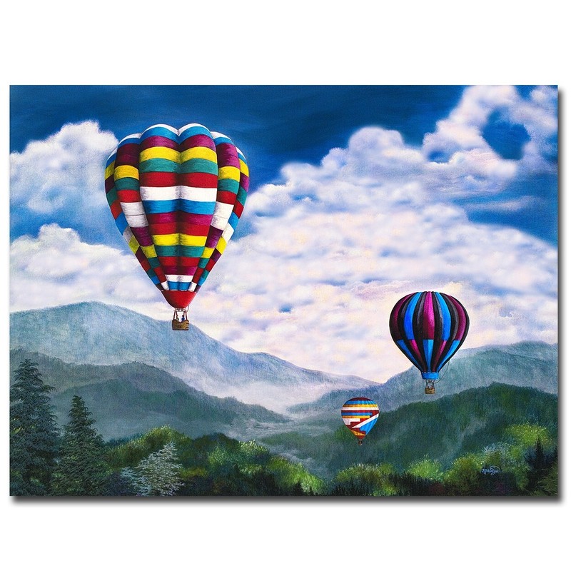 Bird’s Eye View by Linda Mataya Gallery-Wrap Canvas Giclee Art (30 in x 40 in)