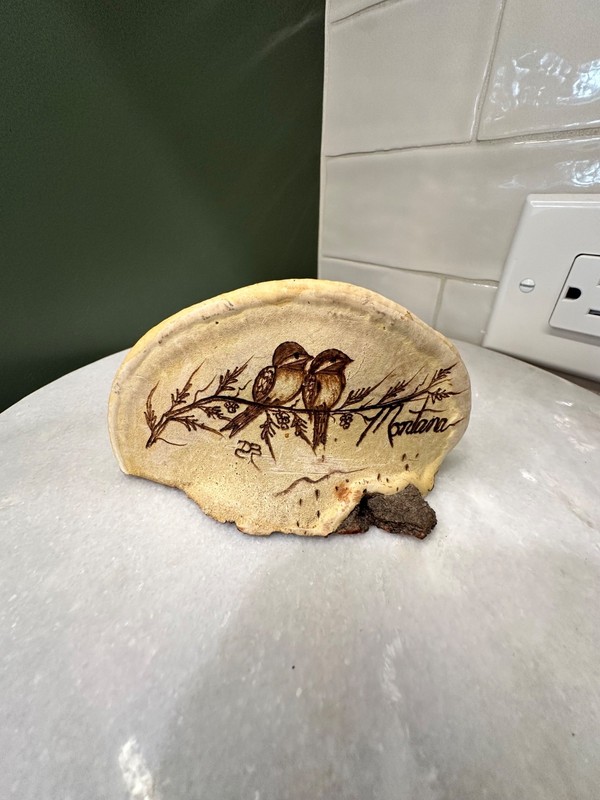 Montana carved and painted wood fungus artist initaled.