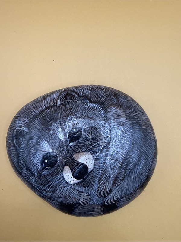 Raccoon Rock Art By Susan Reib. Sm. Doorstop Size. Beautiful For Home Or Office. gallery
