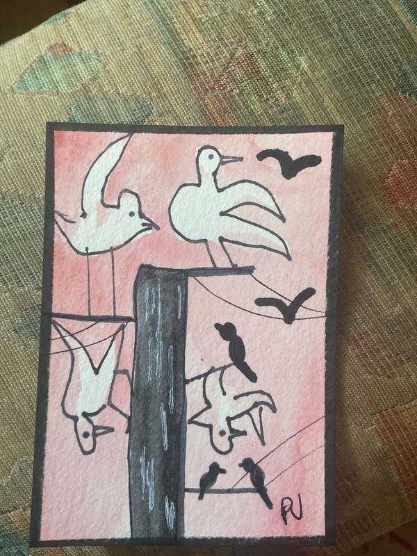 ACEO watercolor art by PJ, art card 2.5 x 3.5: birds on a wire. gallery