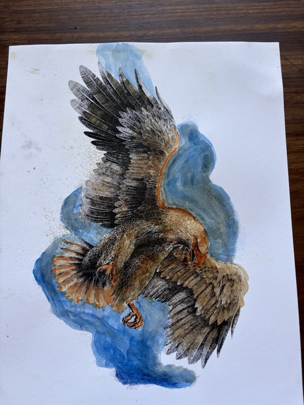 Sunny fledgling flight over big Bear Lake eagle print, signed by artist