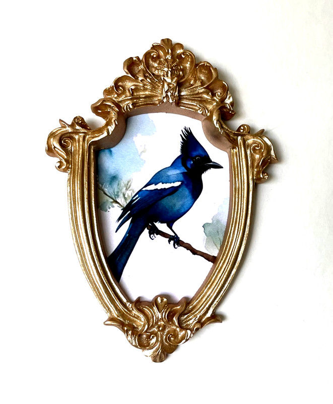 Bluejay Stellar Jay Framed Miniature Mini ART PRINT Gold Ornate Frame NOT ACEO