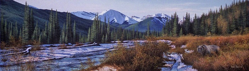 David DAASE » Dormer River Grizzly » Limited Edition Canvas Bear Hunting SIGNED
