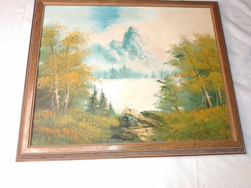 beautiful painting of a mountain in a solid wood frame 22 1/2 "Lx18 1/2"H gallery