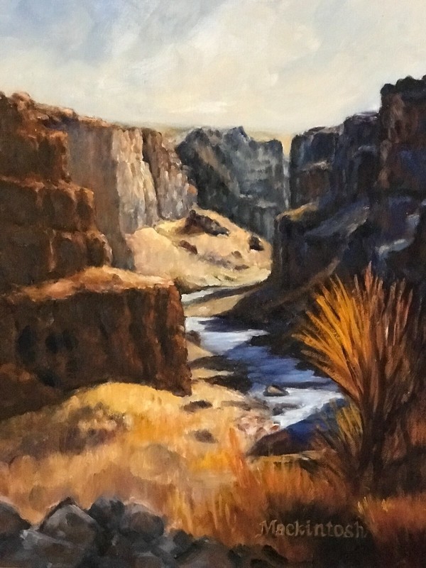 Oregon Gorge: