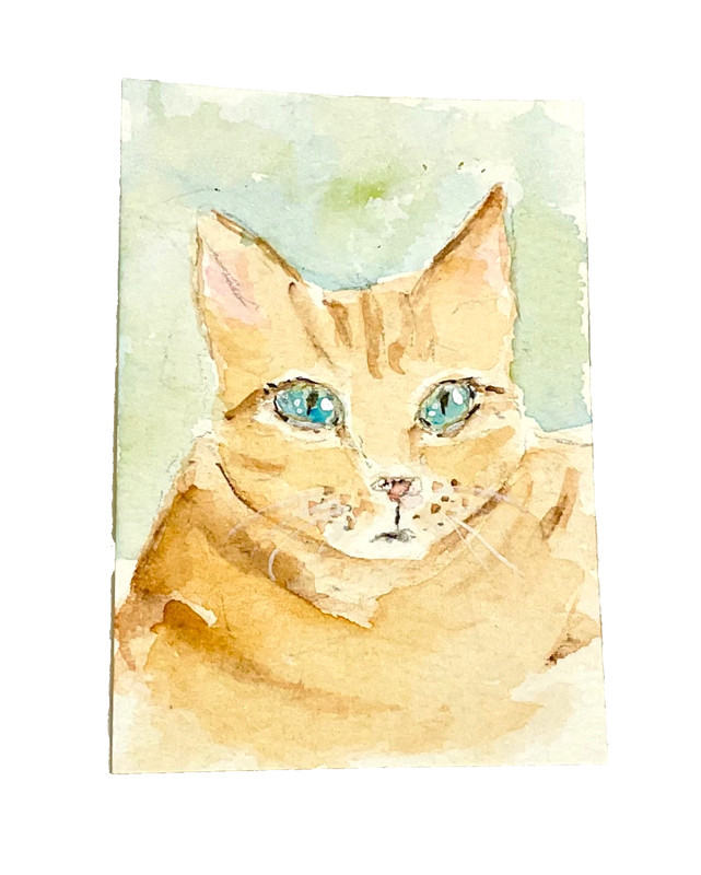 ACEO original cat ginger orange sweet ATC OOAK Cherie Donnell