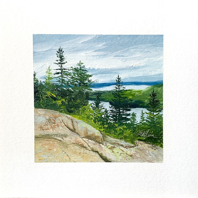 8×8 Maine Original Oil Painting Acadia Pine Trees Cadillac Mountain Rocks Signed