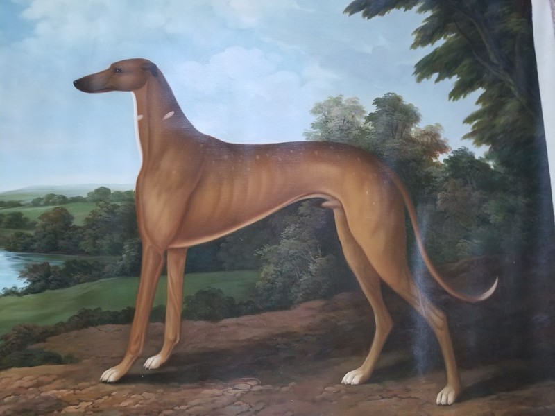 Vintage Rare Large Dog Oil Painting Greyhound Dog