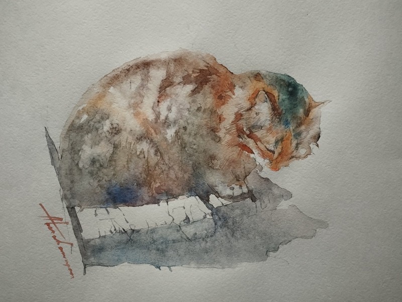 Cat