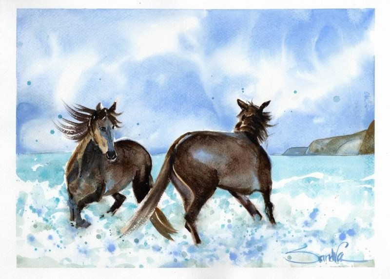 Horses of Santa Cruz Island No. 26 : Sandra Watercolors™ : ORIGINAL PAINTING