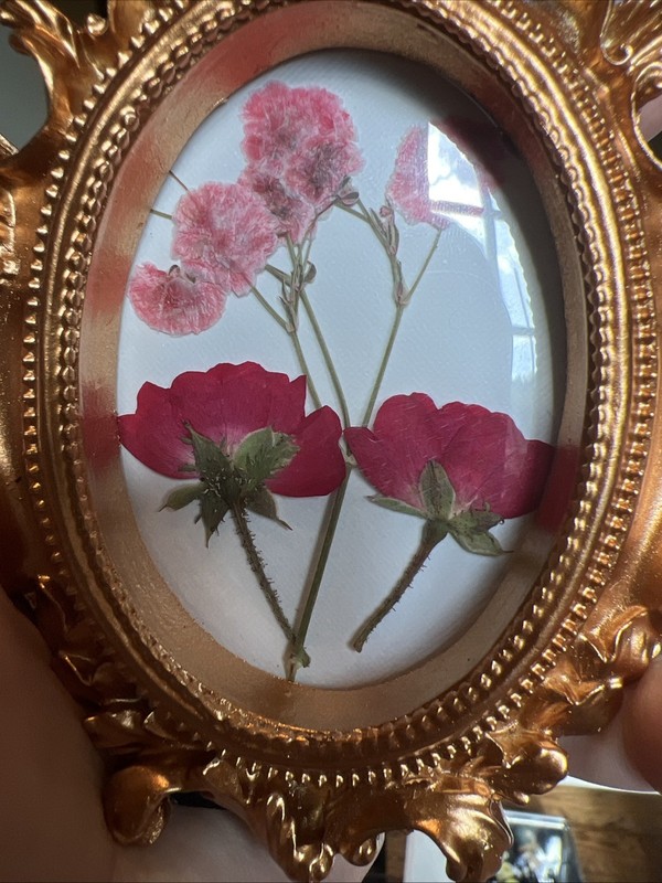 Dried Flowers In Gold Frame,real,cute,original,miniature small,mini,framed gallery