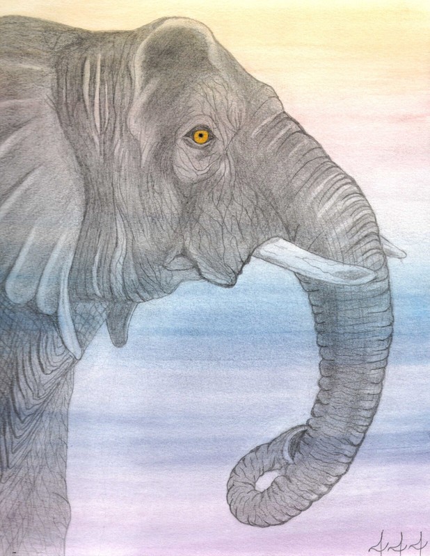 African Elephant, an original watercolor/graphite by inmate artist 444