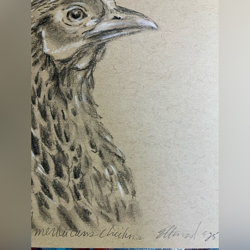 ORIGINAL Chicken Realism Pastel Painting Americana Charcoal Art farm bird EAE gallery