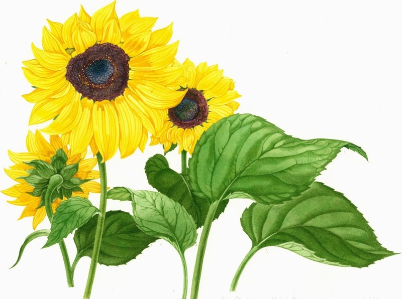 Kristen Rosenberg (UK,1933-?) watercolor painting 141122