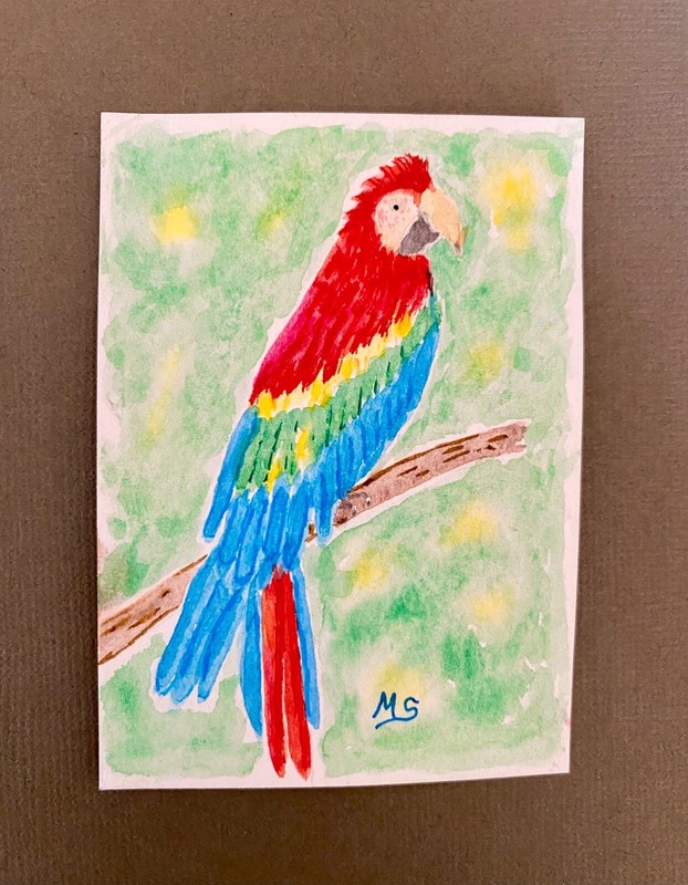 Parrot ACEO Painting Colorful Macaw Print Bird Animals Nature ATC Art gallery