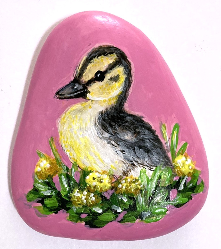 Cute Baby Duck Duckling Ducky Original Hand Painted Rock Stone Art amylenore