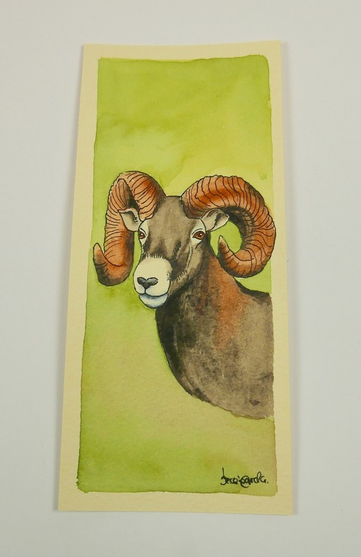 Small original Watercolor Painting Bighorn Sheep Head 3″ x 7″ New