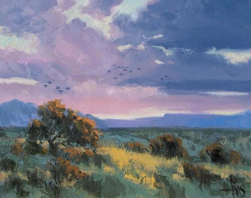 TOM HAAS painting ‘Foothills Sunset’ oil 11″x14″ southern Arizona desert clouds