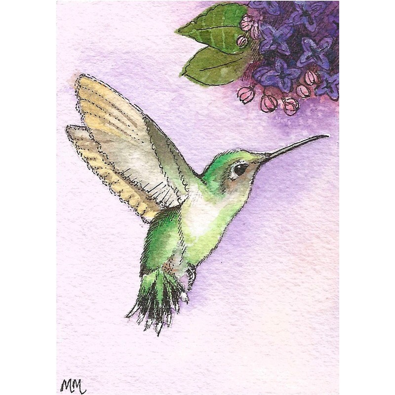 ACEO Limited Edition – Hummingbird with Lilacs print of Original Pen & Ink