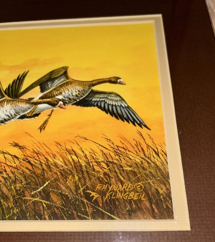 Original Rhynard Klingbeil Watercolor painting framed White-Fronted Goose gallery