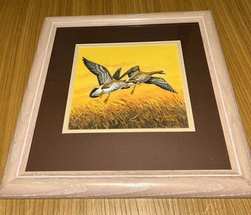 Original Rhynard Klingbeil Watercolor painting framed White-Fronted Goose