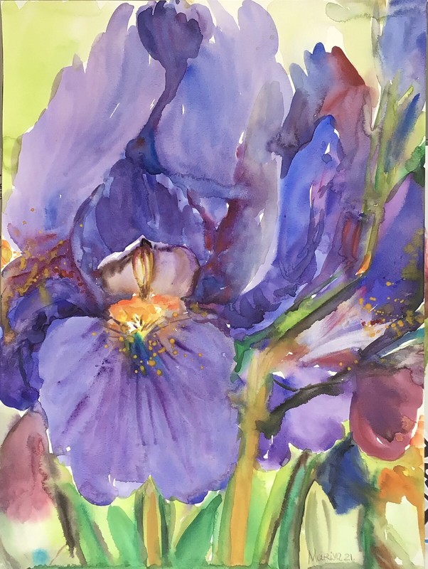 PURPLE IRIS .Original Watercolor Painting