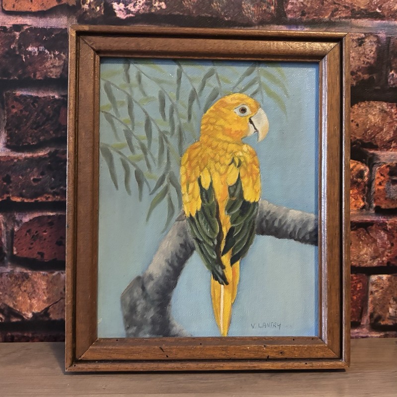 MCM Vintage Parrot Wall Art – Original 1960s Painting VGC