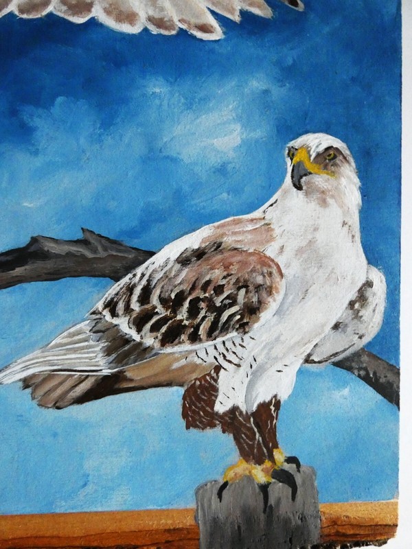 Hand Painted Two Hawks On Live Edge Basswood By Phyllis gallery