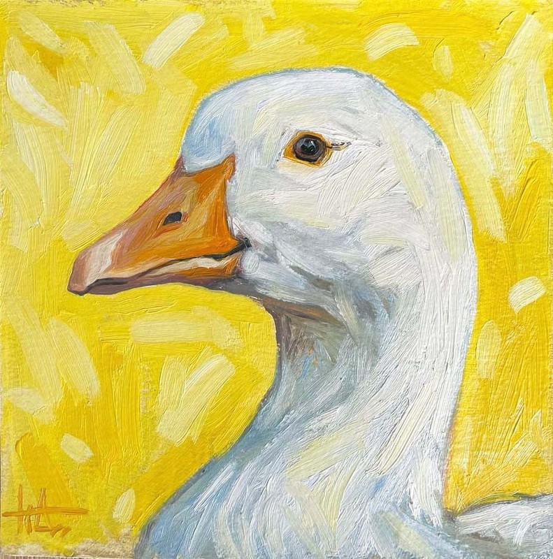 Original Painting Bird Goose Portrait 6 x 6 inches Vibrant Oil Painting