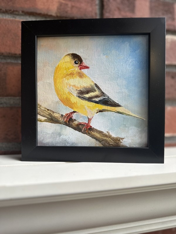 Goldfinch. Original oil painting Backyard bird art. 6×6. Magnet board.