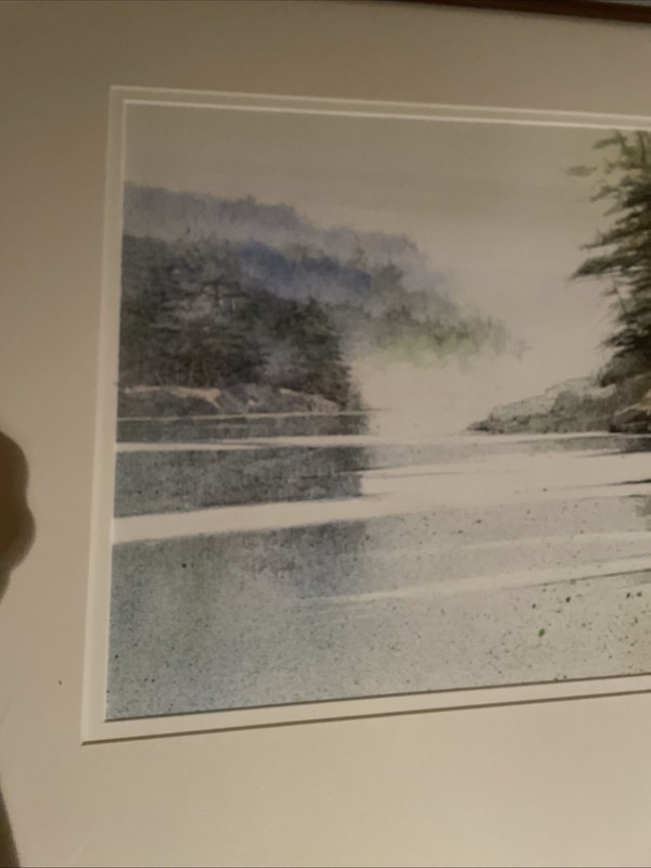 Original Maris Platais Ink And Acrylic “Coastal fantasy” 20x13” Framed 24x30” gallery
