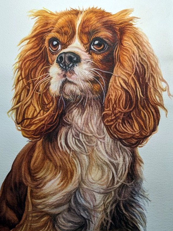 Pet Portrait from Photo 11×14″ A3 Custom Realistic Painting, Christmas Gift