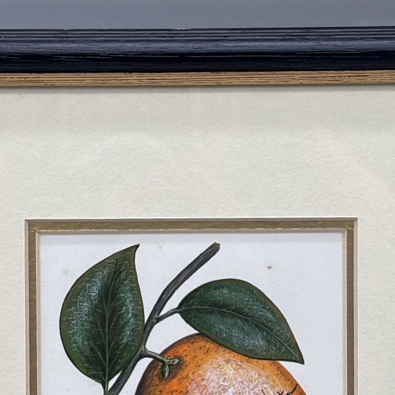Bernard F Carter Original Watercolor Painting Orange Floral Birthday Book Jan 17 gallery
