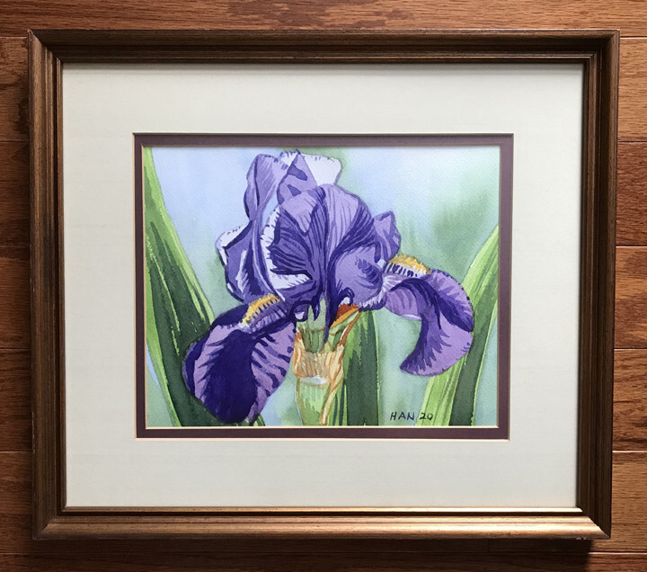 Iris, Purple, Flower, Original Watercolor Painting, Signed, Framed, 16×14, Art