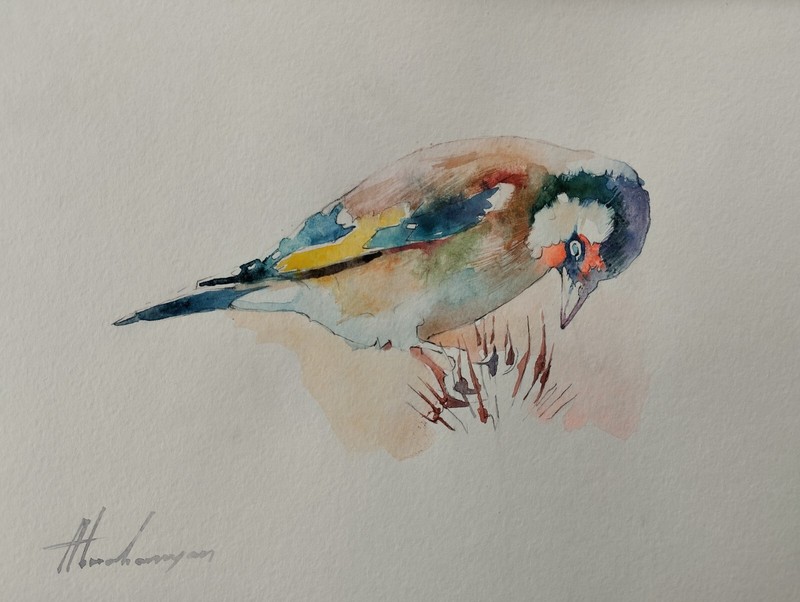 Goldfinch, Birds, Watercolor artwork, Handmade, Original painting on paper