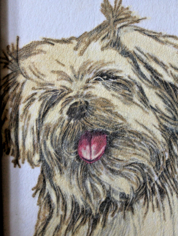 2 Handpainted Felt Dog Portaits Framed Shitzu Benji Beautiful Detail 5x7in gallery