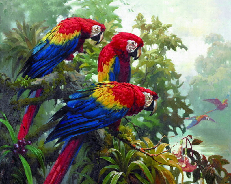 Macaw Parrot Animals Art Giclee Printed Oil Painting Print