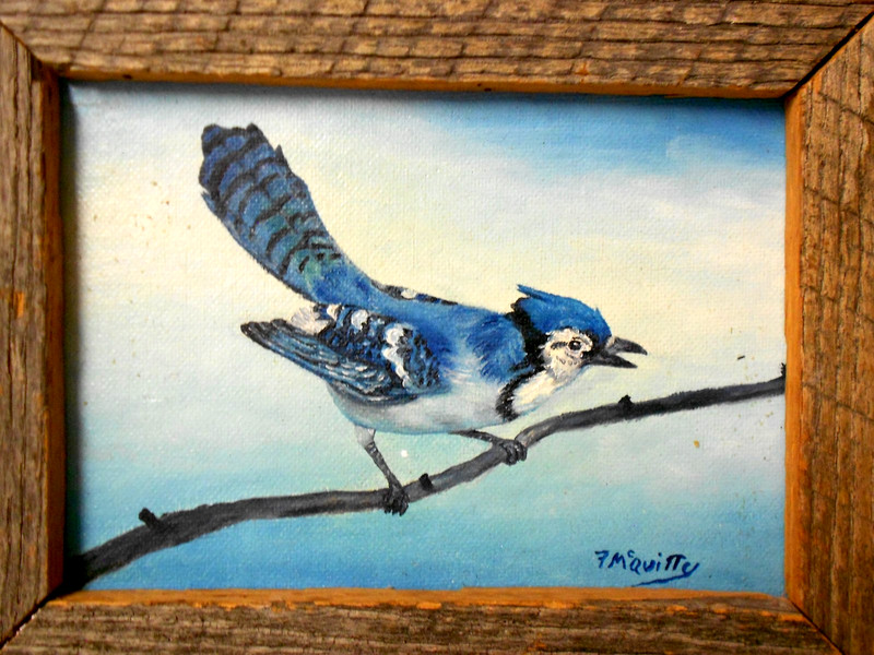 amazing blue jay oil painting sign Florance Mcquitty size 10.5" x 9" wood frame gallery