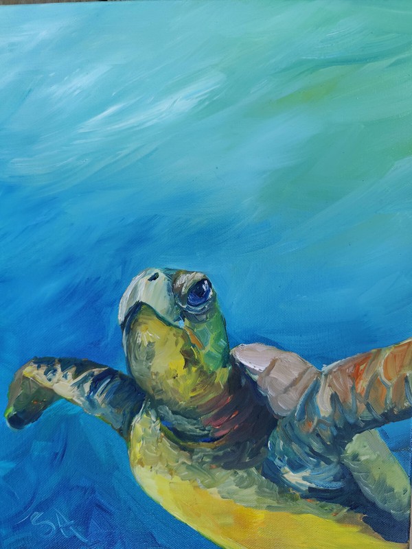 Original acrylic painting , «Loggerhead turtle» Fine Art 12×16 by Sonya Allen