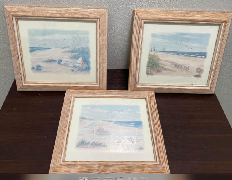 set of 3- 9” h 10” w Wooden Nautical Ocean scenes with Seagulls glass enclosed