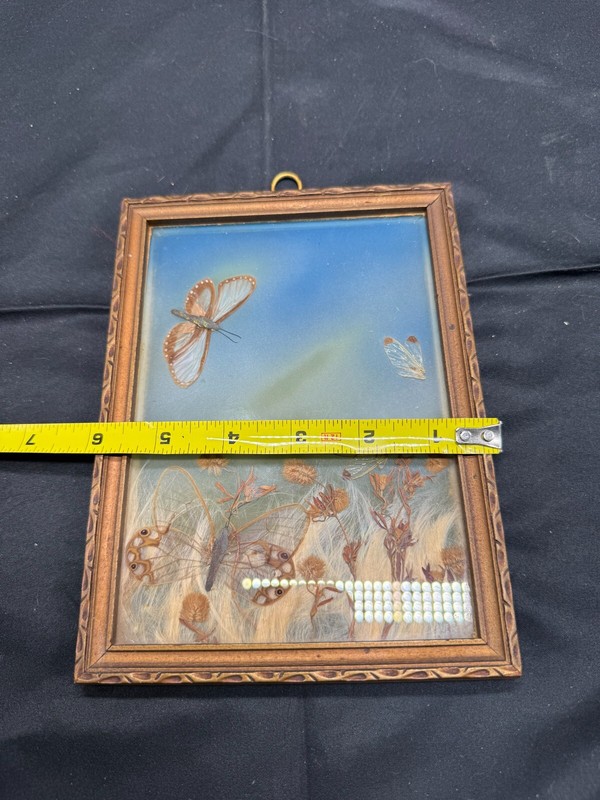 Vintage Framed SunCatcher Real Butterfly and Plants Art 8x6 gallery
